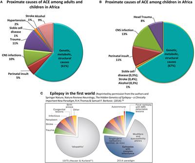 Clinical Application of Epilepsy Genetics in Africa: Is Now the Time?